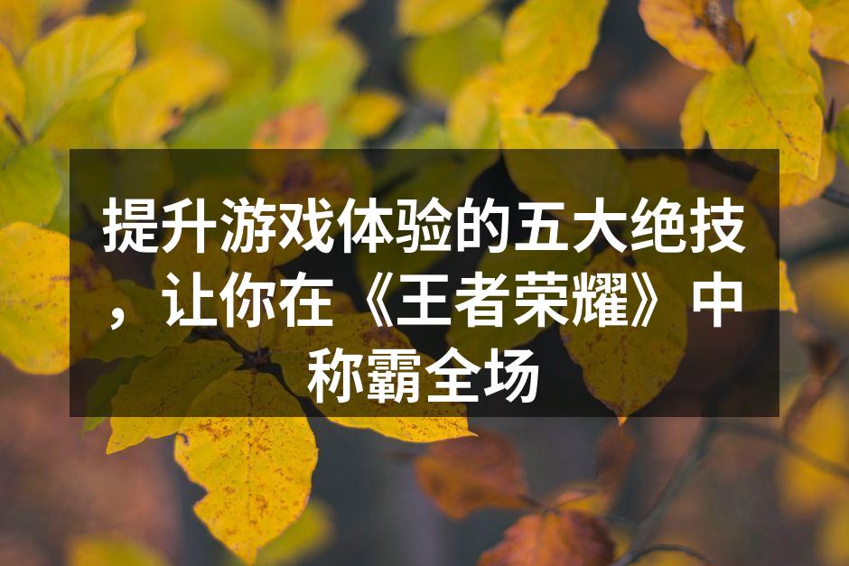 提升游戏体验的五大绝技，让你在《王者荣耀》中称霸全场